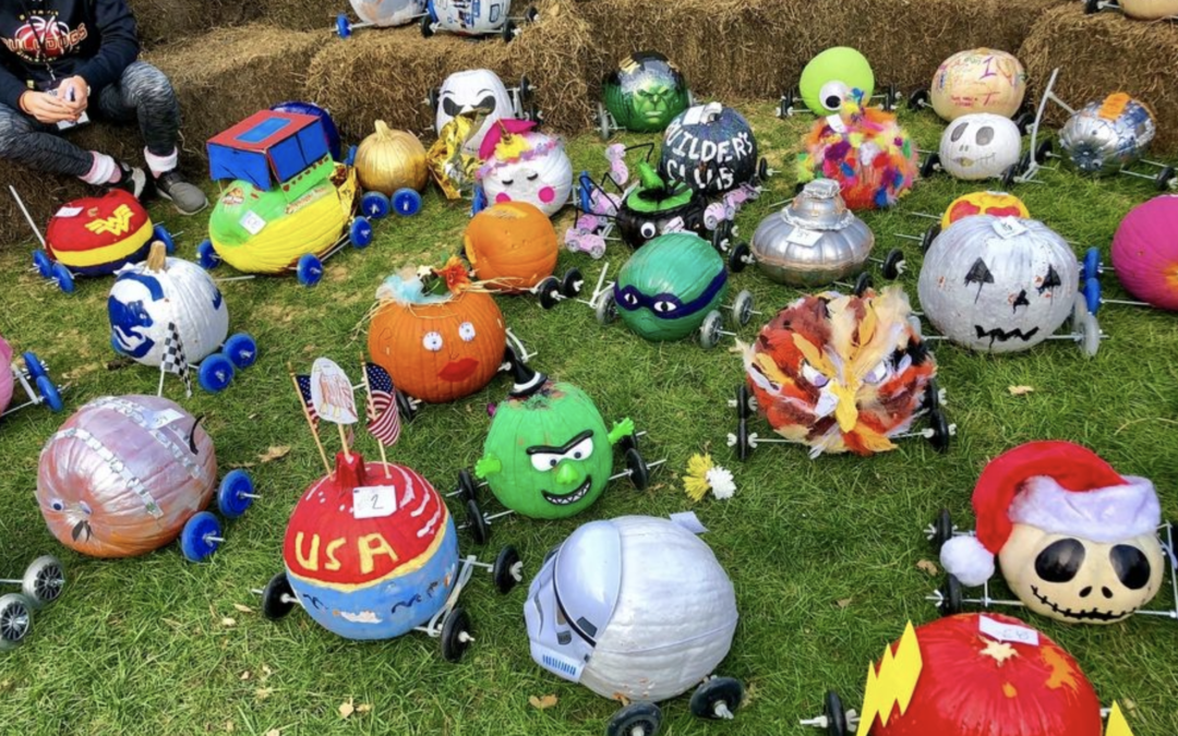 Naperville 2021 Pumpkin Race, Festivities Offer Fun For All Ages, Abilities