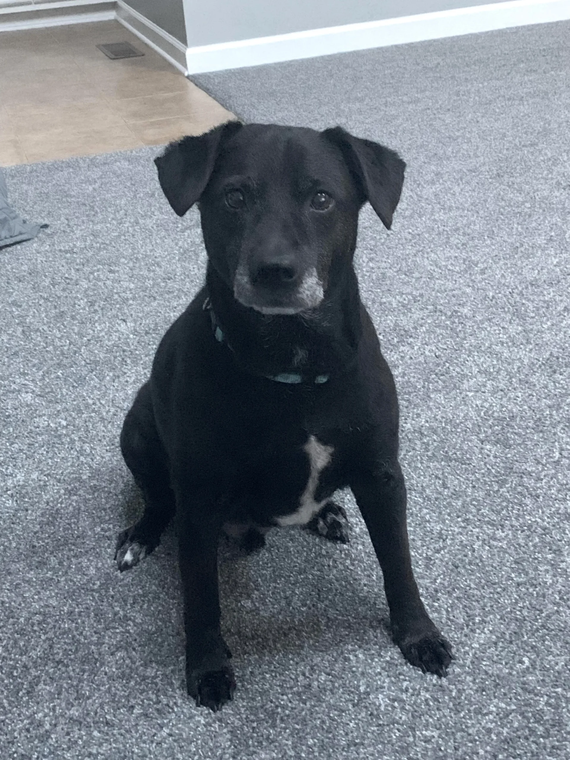 Fredo GettyImages-1327494180